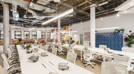 Commercial Property Management